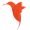 kolibri copy